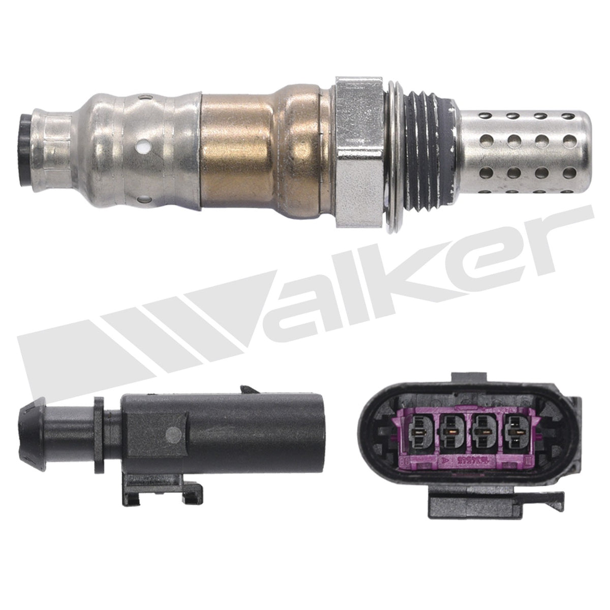 Walker Oxygen Sensor