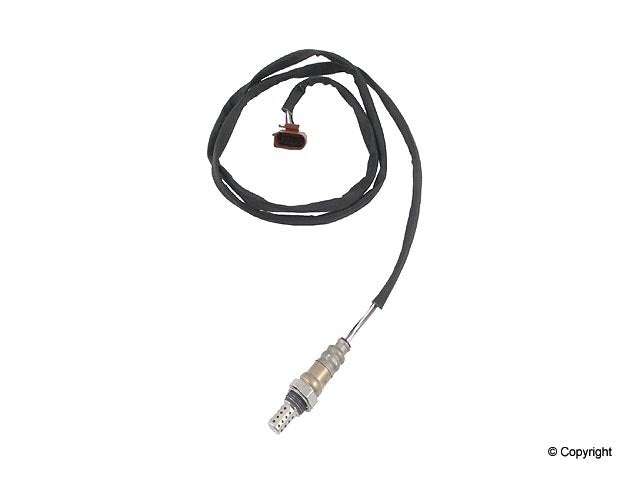 Walker Oxygen Sensor