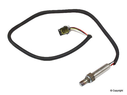 Walker Oxygen Sensor