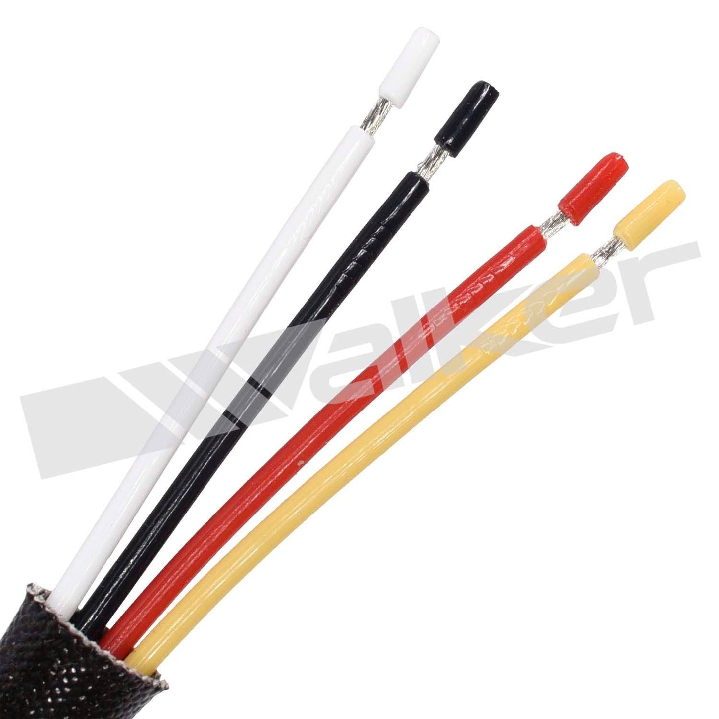 Walker Products 250-24883