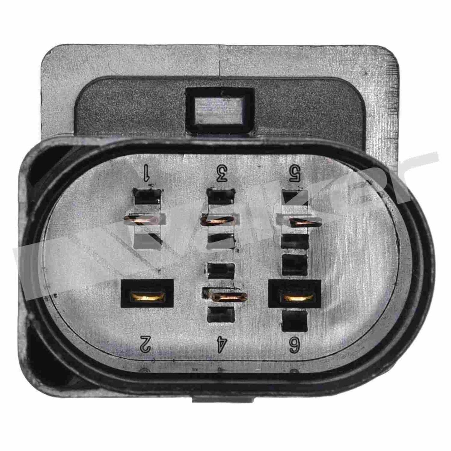 Walker Products Walker Products 250-25002 Oxygen Sensor 5-W Wideband 250-25002