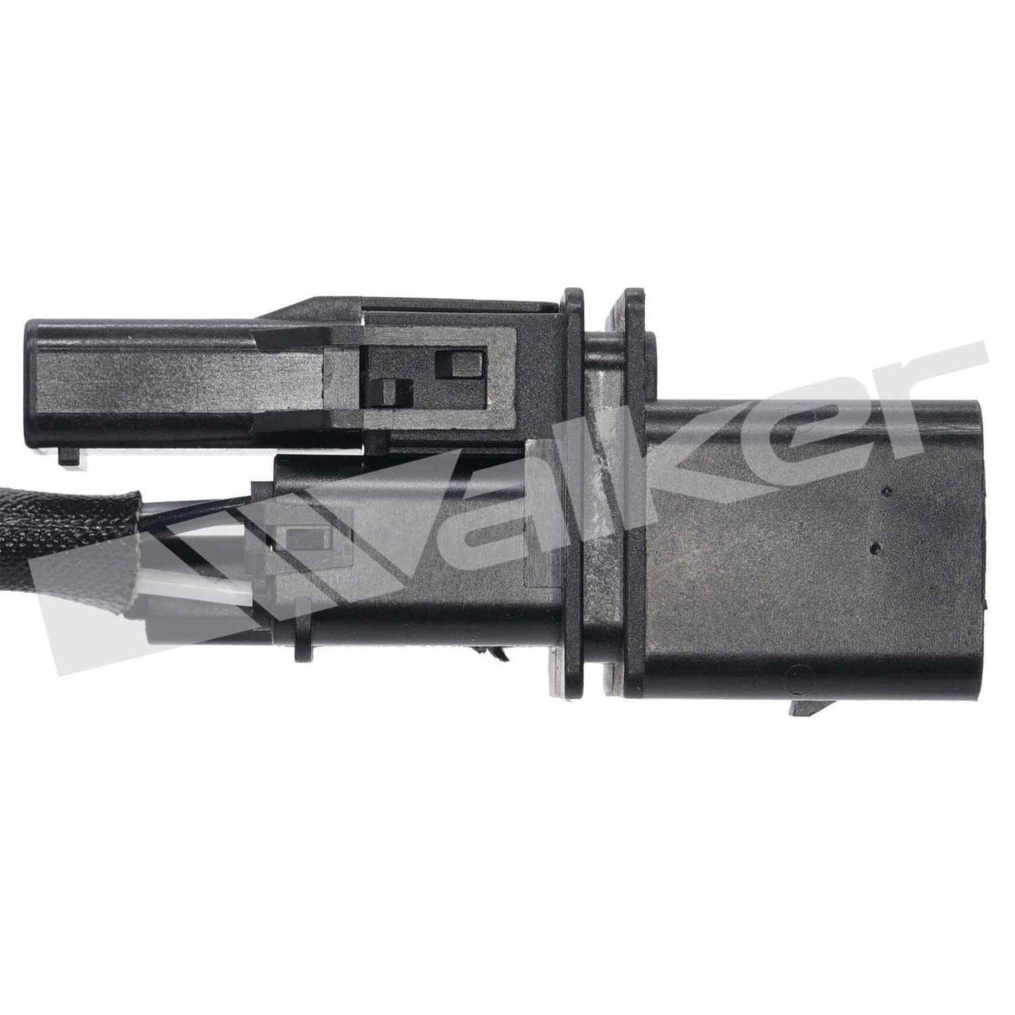 Walker Oxygen Sensor