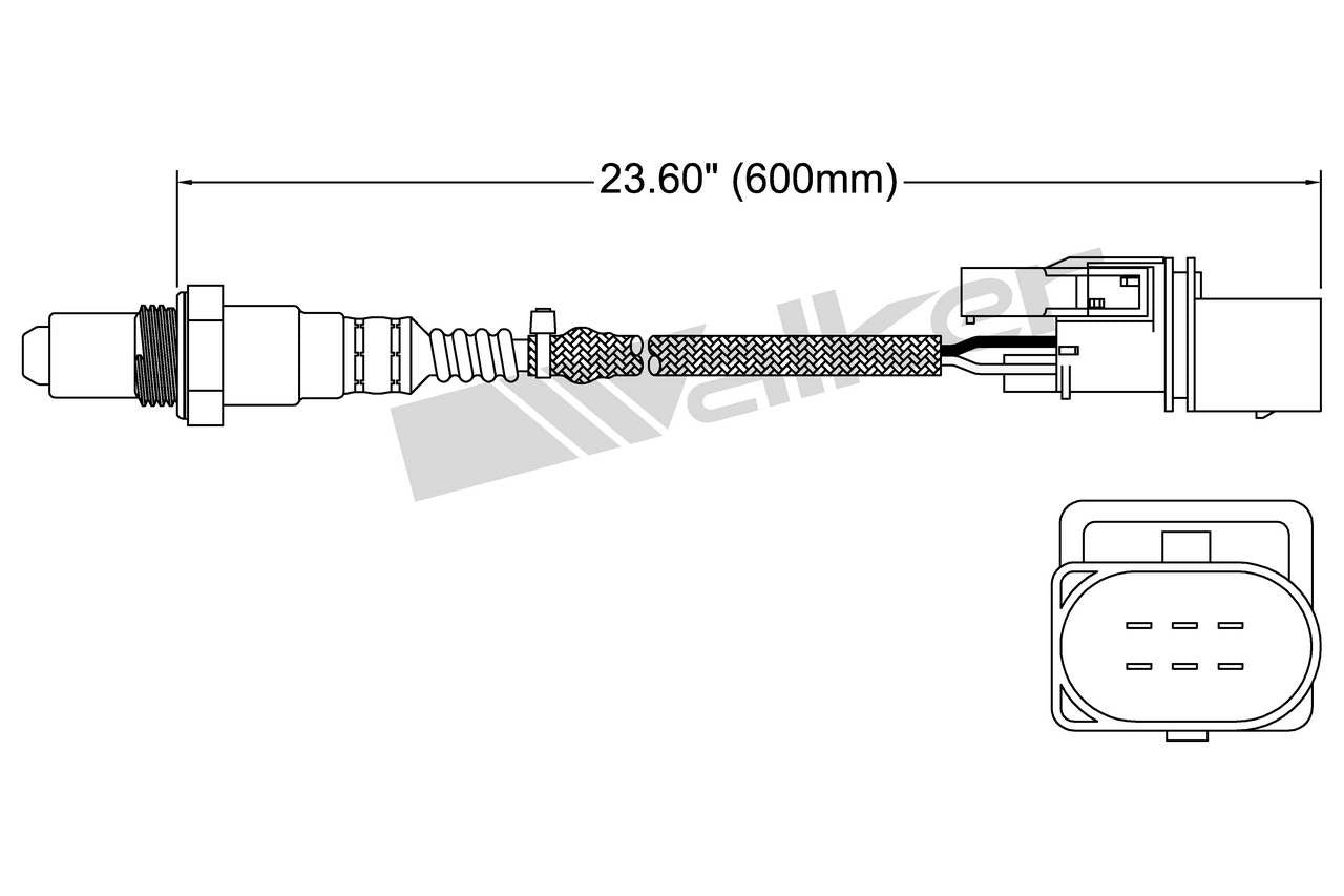 Walker Oxygen Sensor