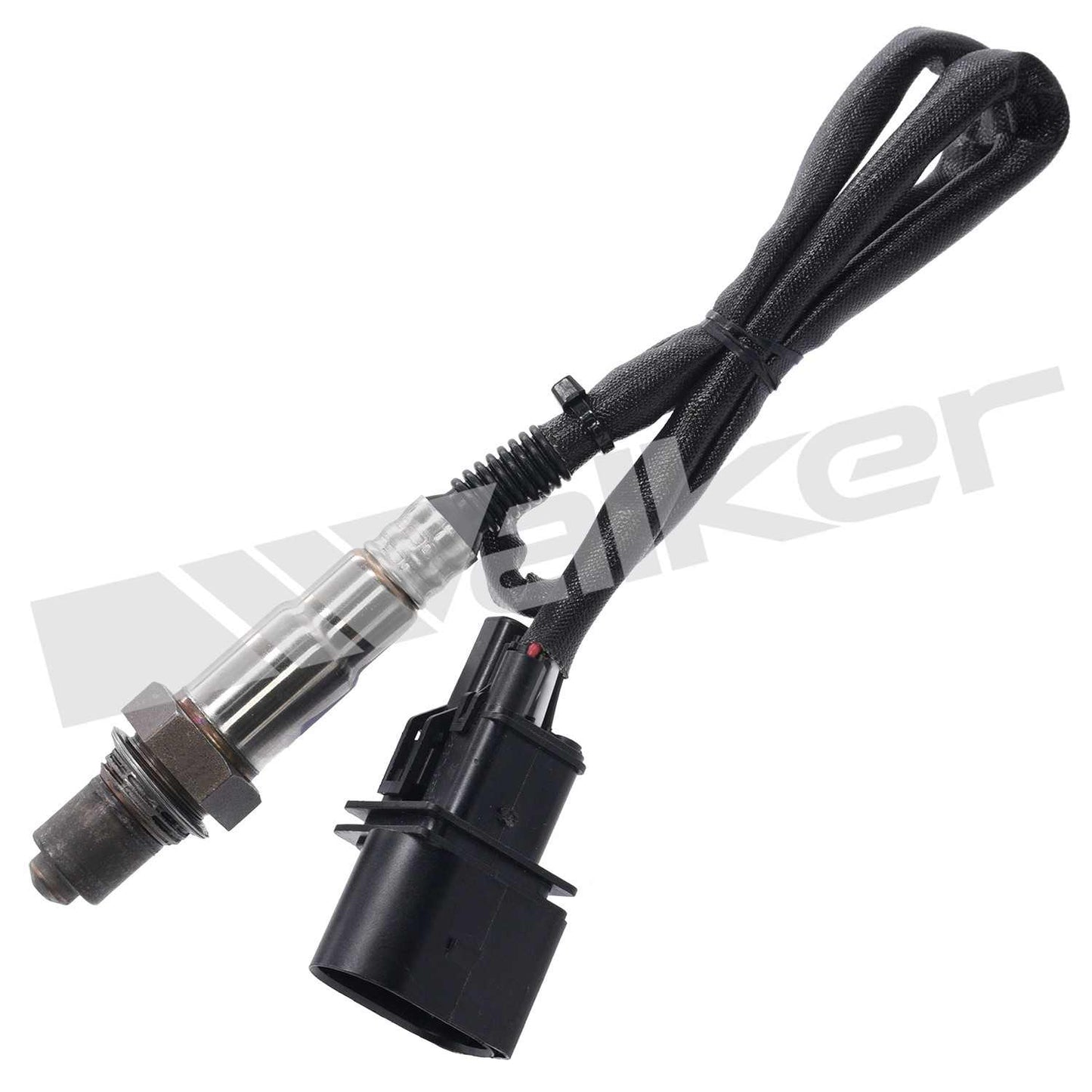 Walker Oxygen Sensor