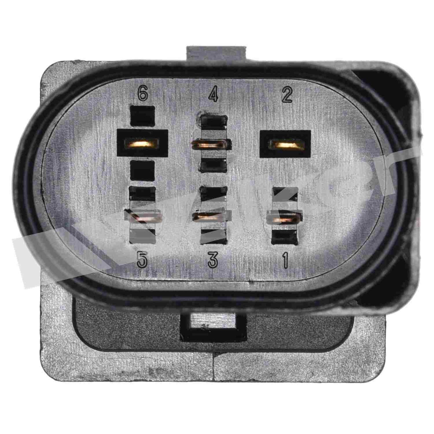 Walker Products Walker Products 250-25003 Oxygen Sensor 5-W Wideband 250-25003