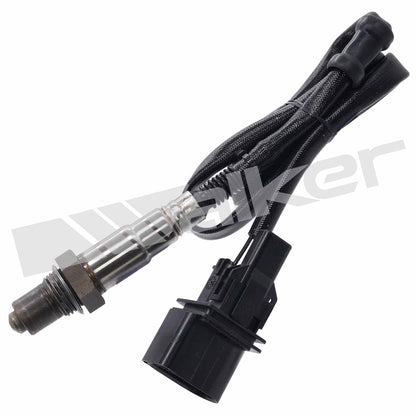 Walker Oxygen Sensor