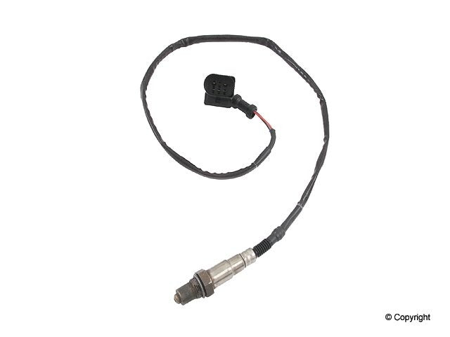 Walker Oxygen Sensor