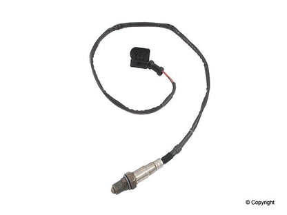 Walker Oxygen Sensor
