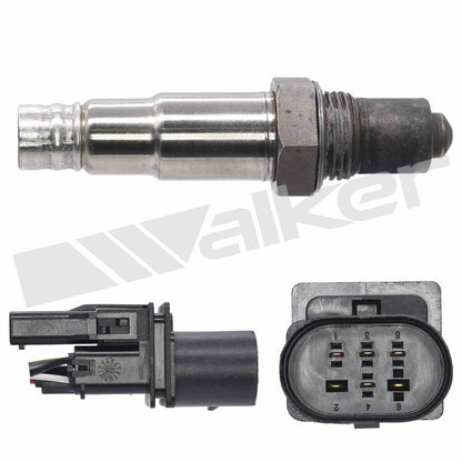 Walker Oxygen Sensor