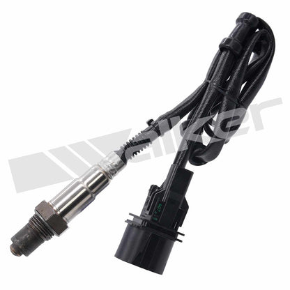 Walker Oxygen Sensor