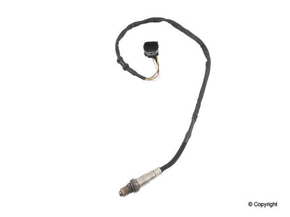 Walker Oxygen Sensor