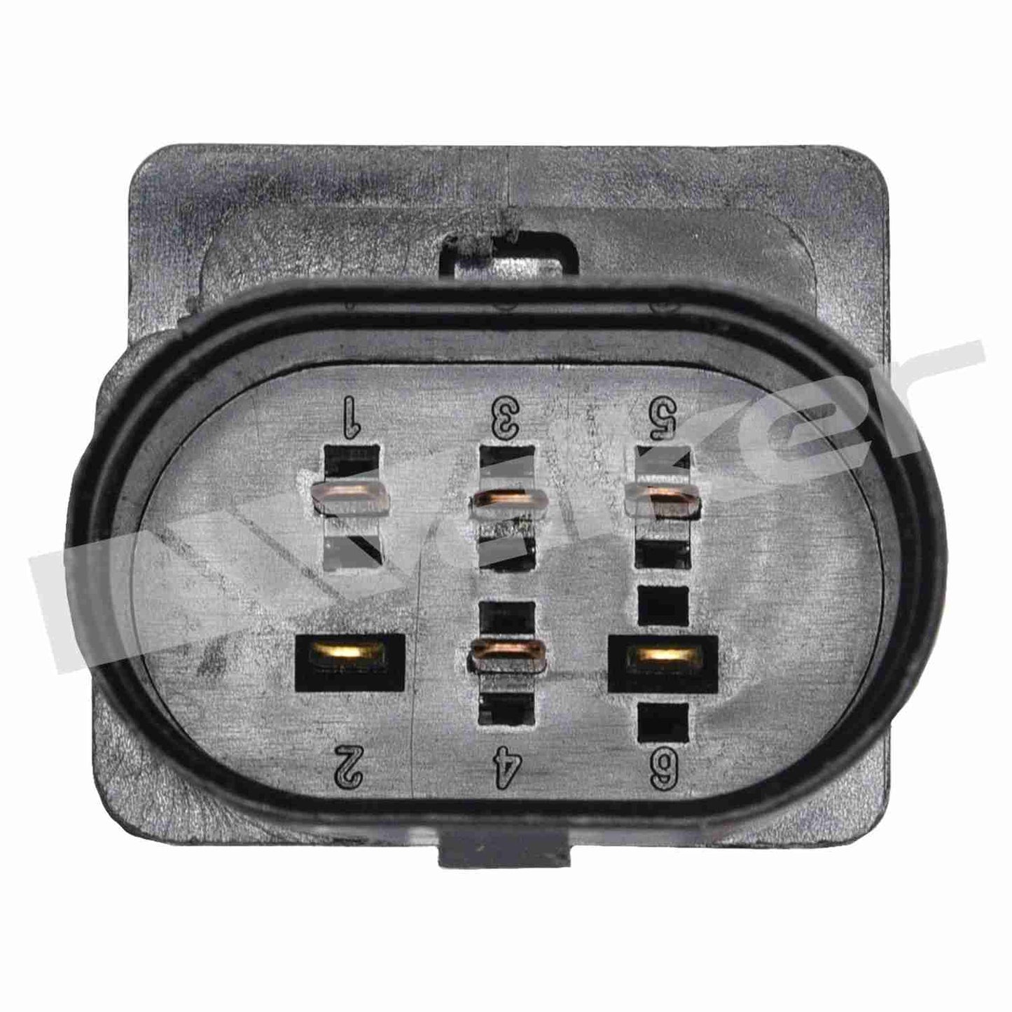 Walker Products Walker Products 250-25008 Oxygen Sensor 5-W Wideband 250-25008