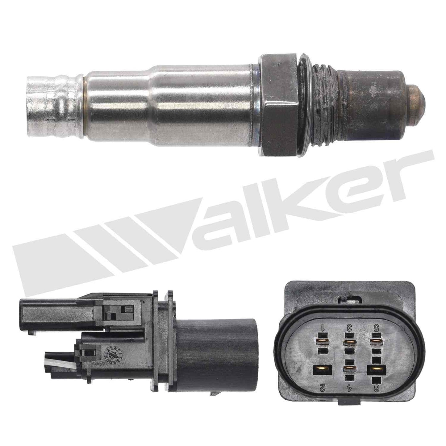 Walker Oxygen Sensor