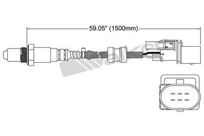 Walker Oxygen Sensor