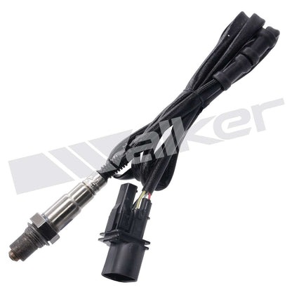 Walker Oxygen Sensor