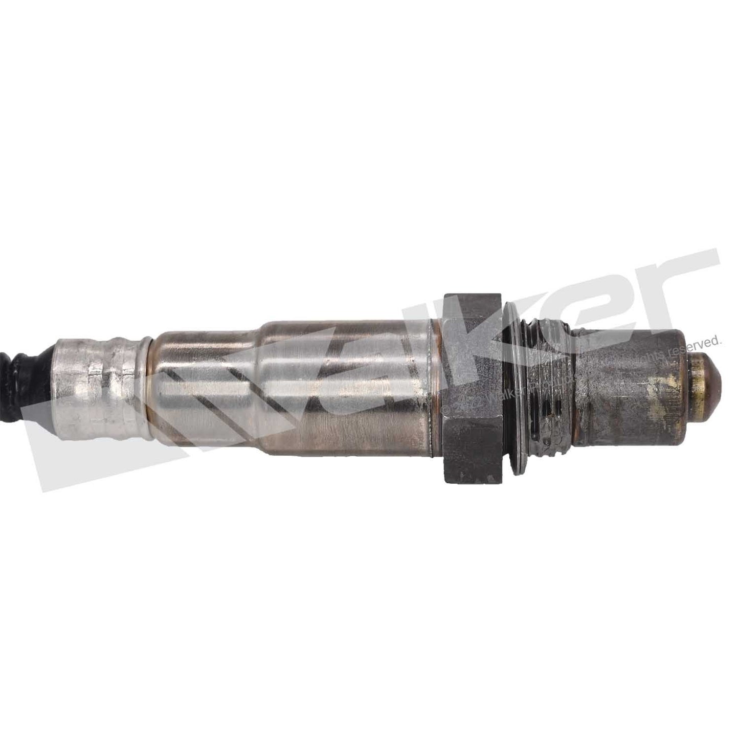 Walker Oxygen Sensor