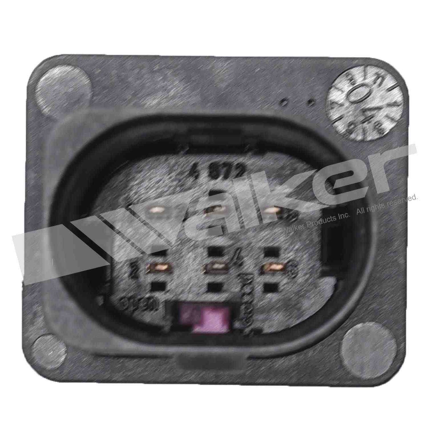 Walker Oxygen Sensor
