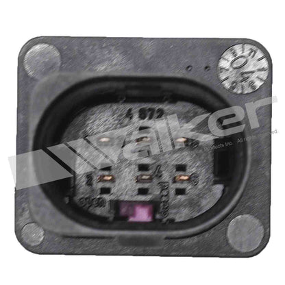 Walker Oxygen Sensor