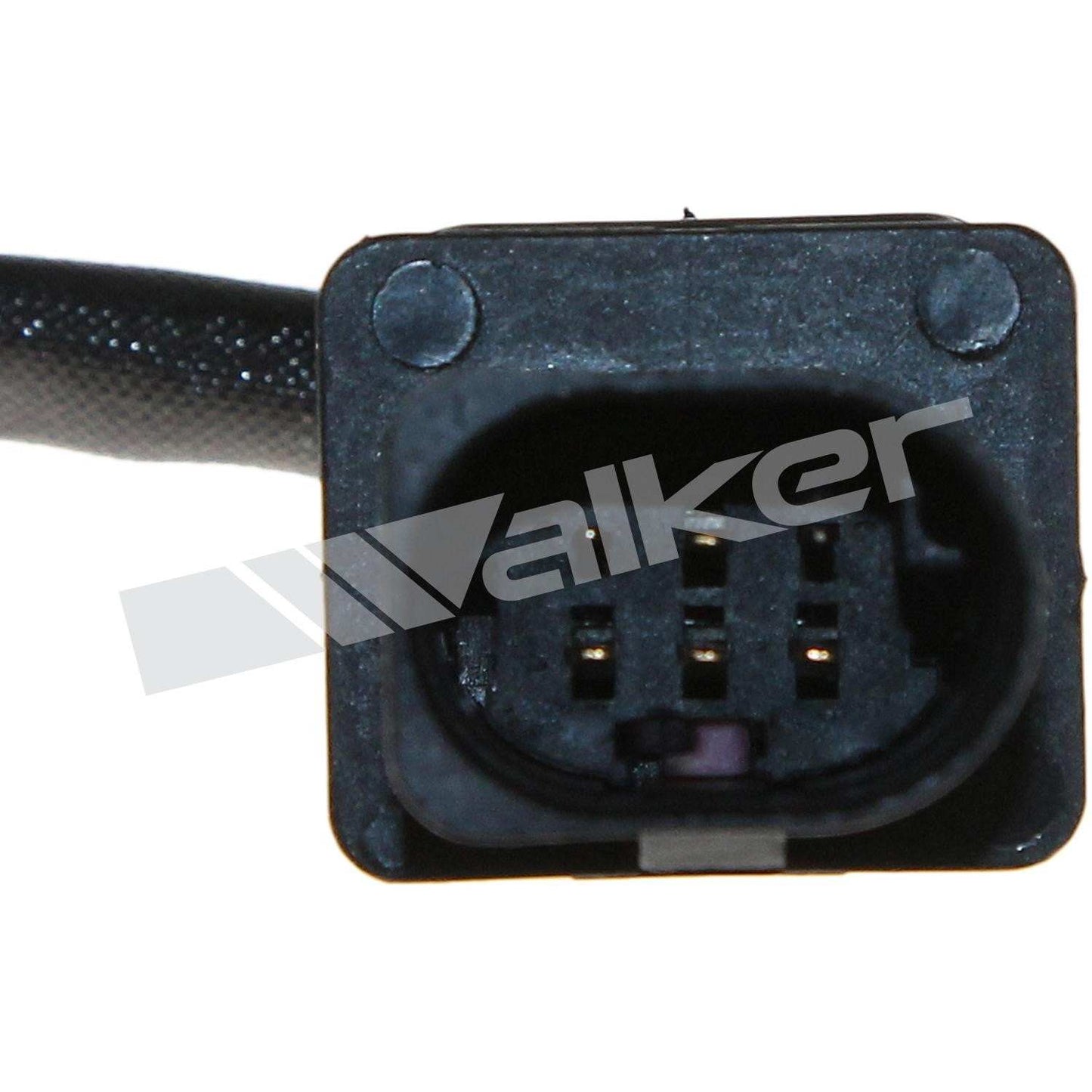 Walker Oxygen Sensor