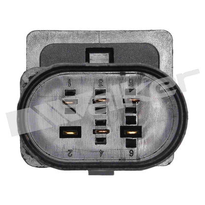 Walker Oxygen Sensor
