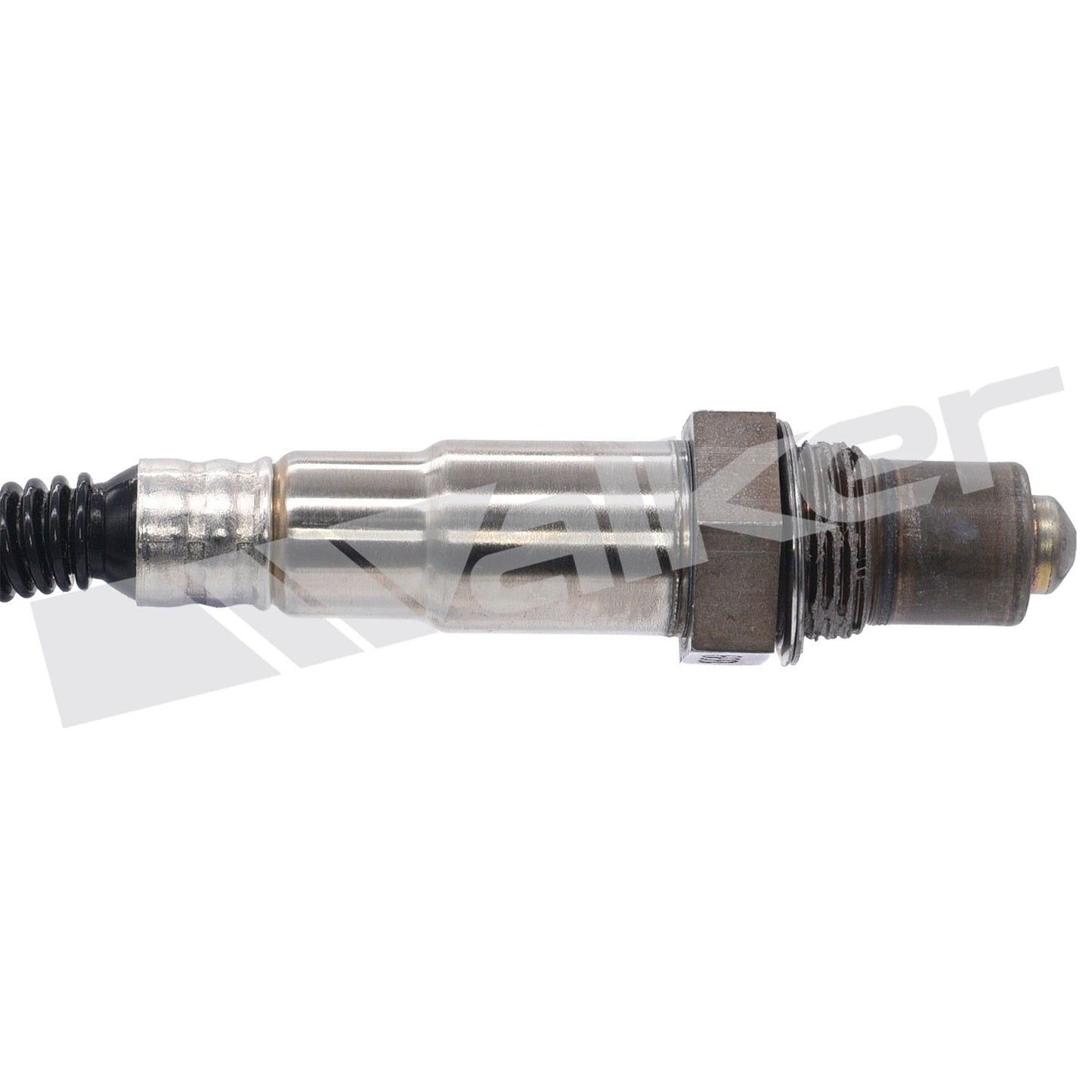 Walker Oxygen Sensor