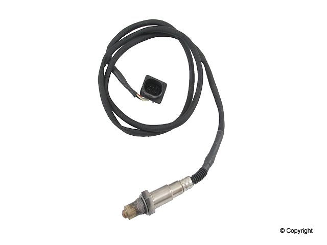 Walker Oxygen Sensor