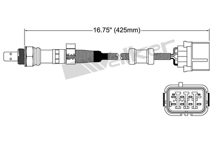 Walker Products Walker Products 250-25055 Oxygen Sensor 5-W Wideband 250-25055