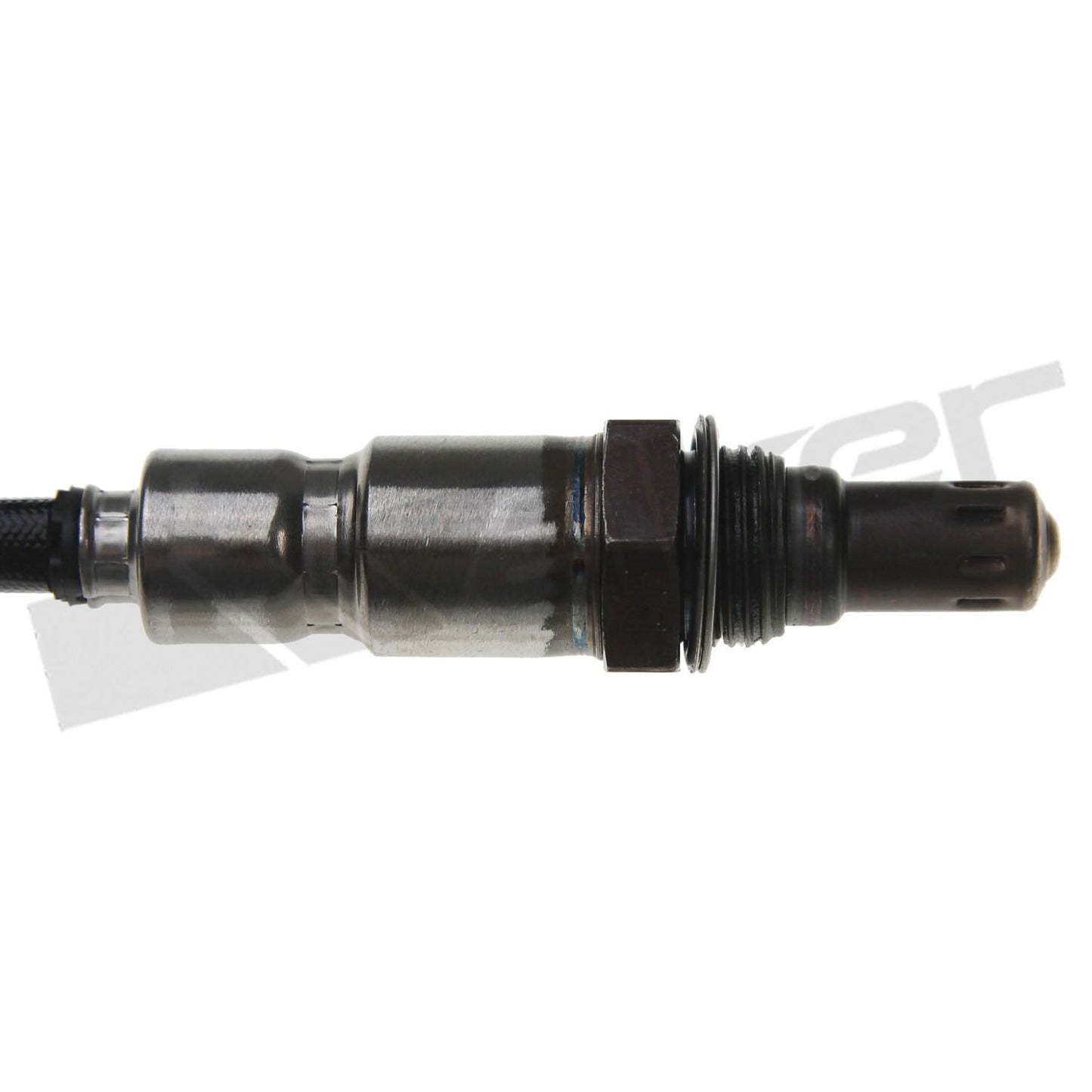 Walker Products Walker Products 250-25125 Oxygen Sensor 5-W Wideband 250-25125