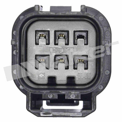 Walker Products Walker Products 250-25137 O2 Sensor 5-W Wideband 250-25137