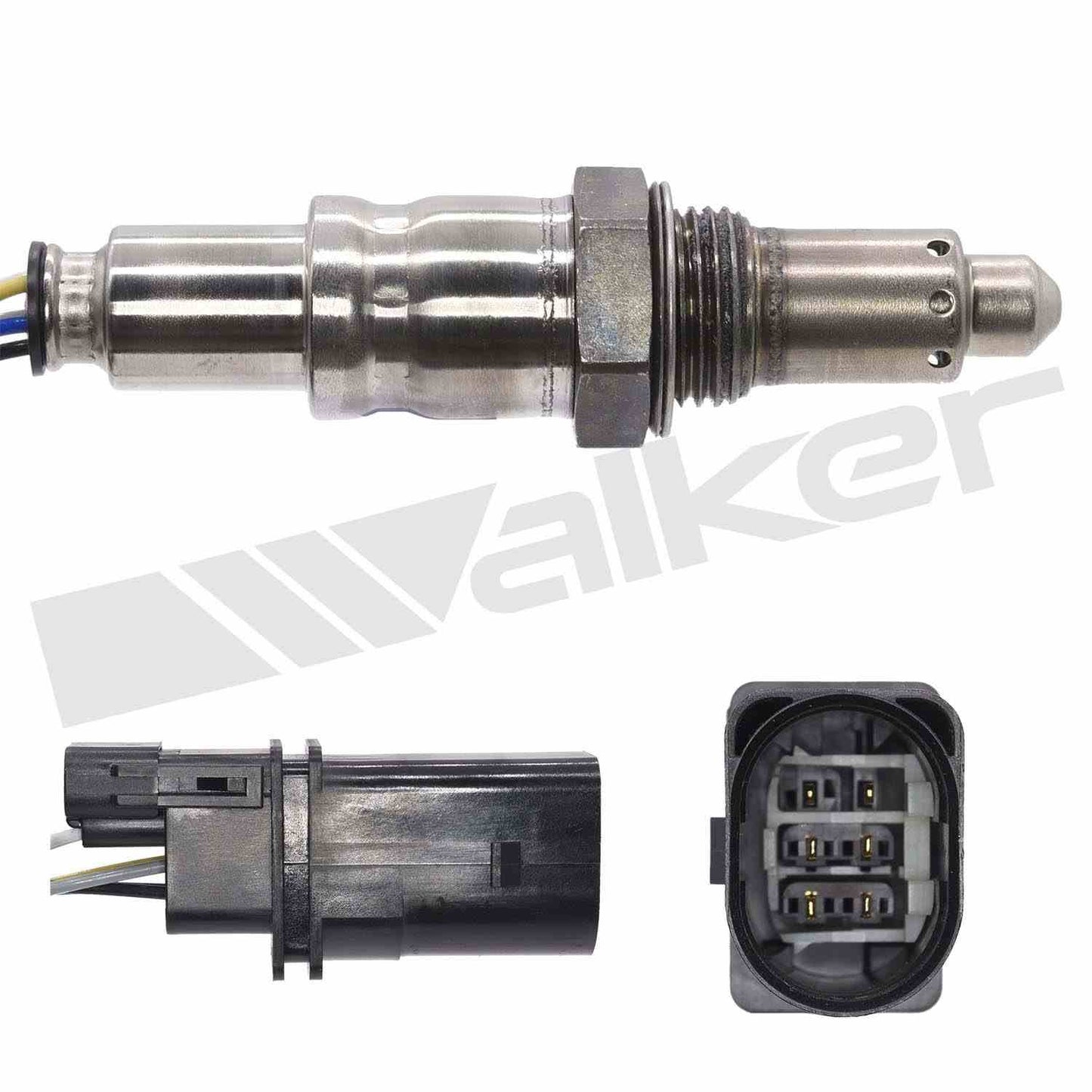 Walker 25025146