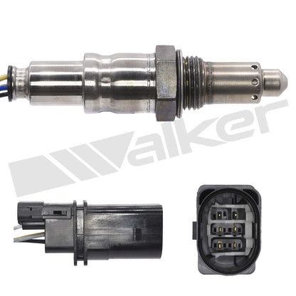Walker 25025146