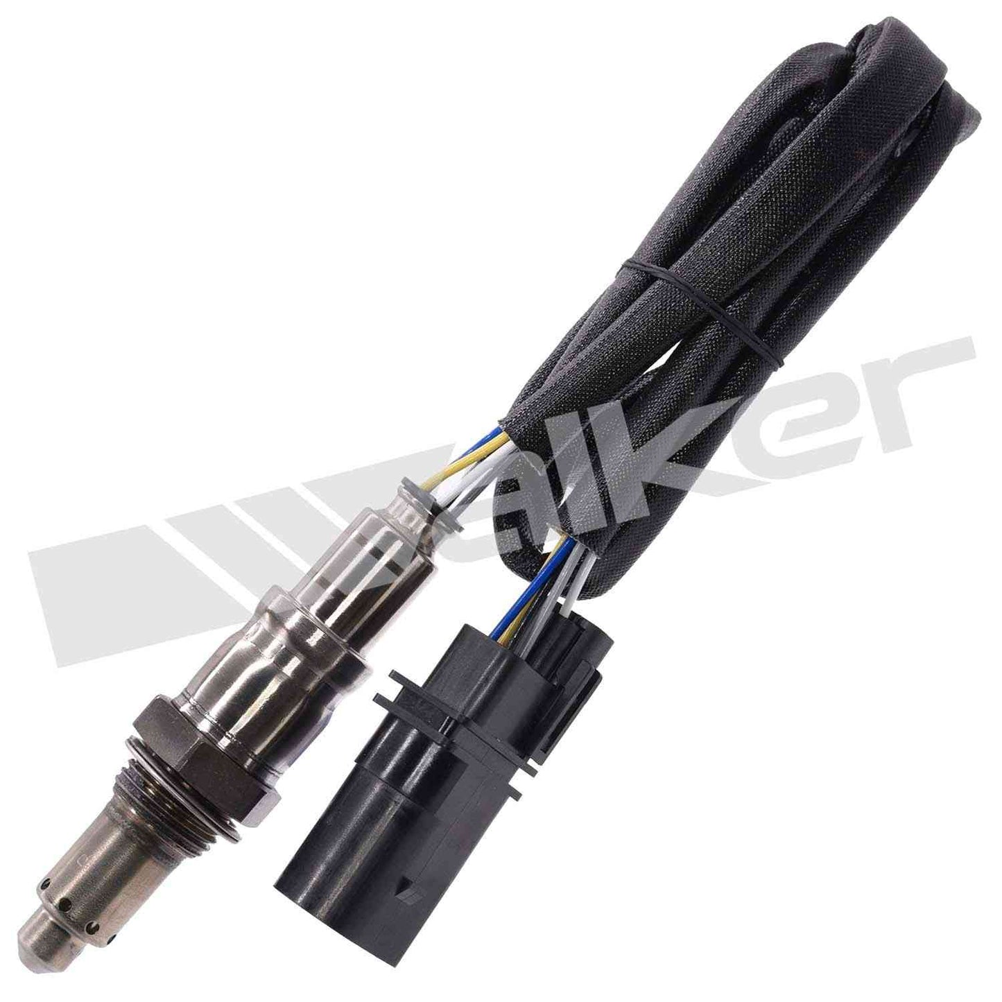 Walker 25025146