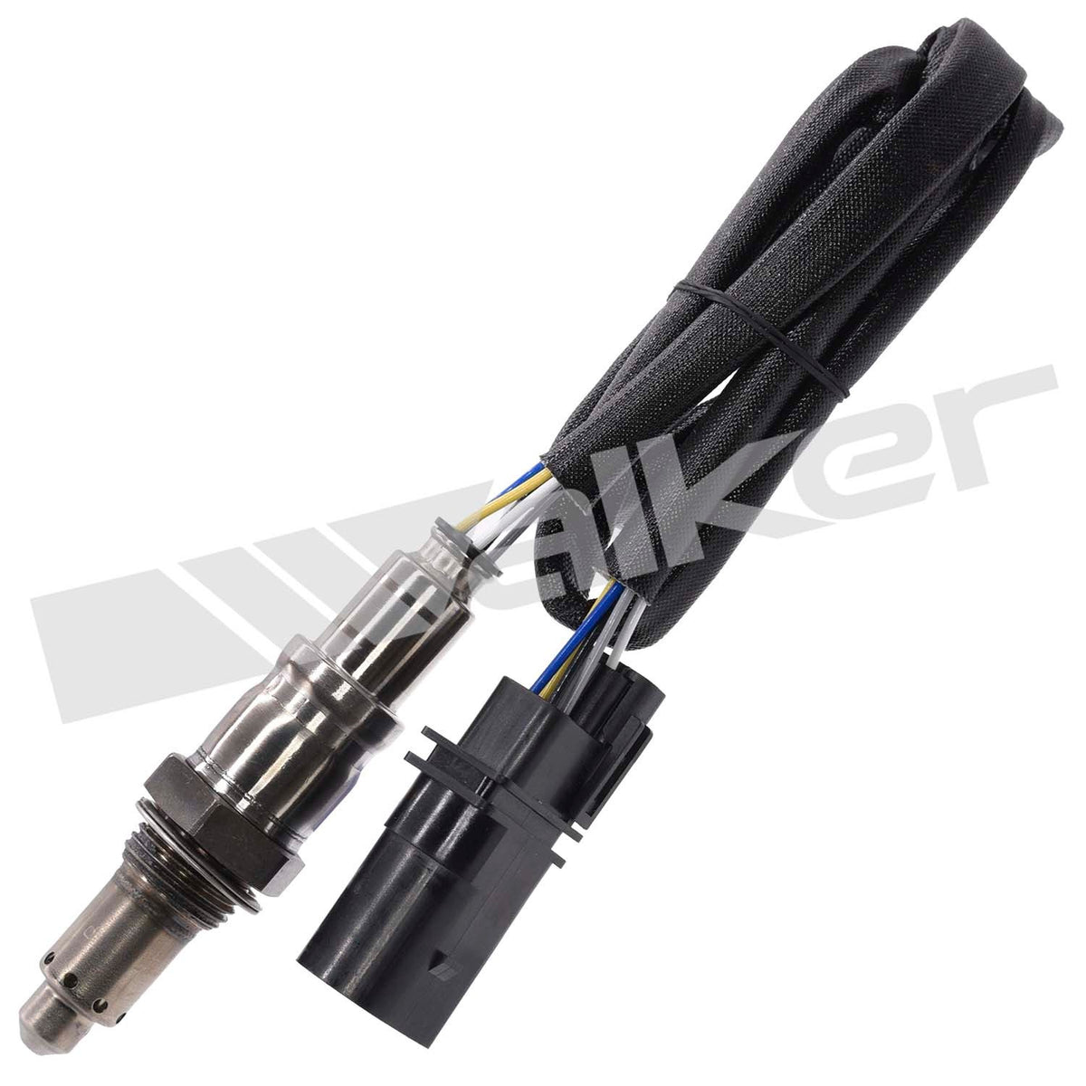 Walker 25025146
