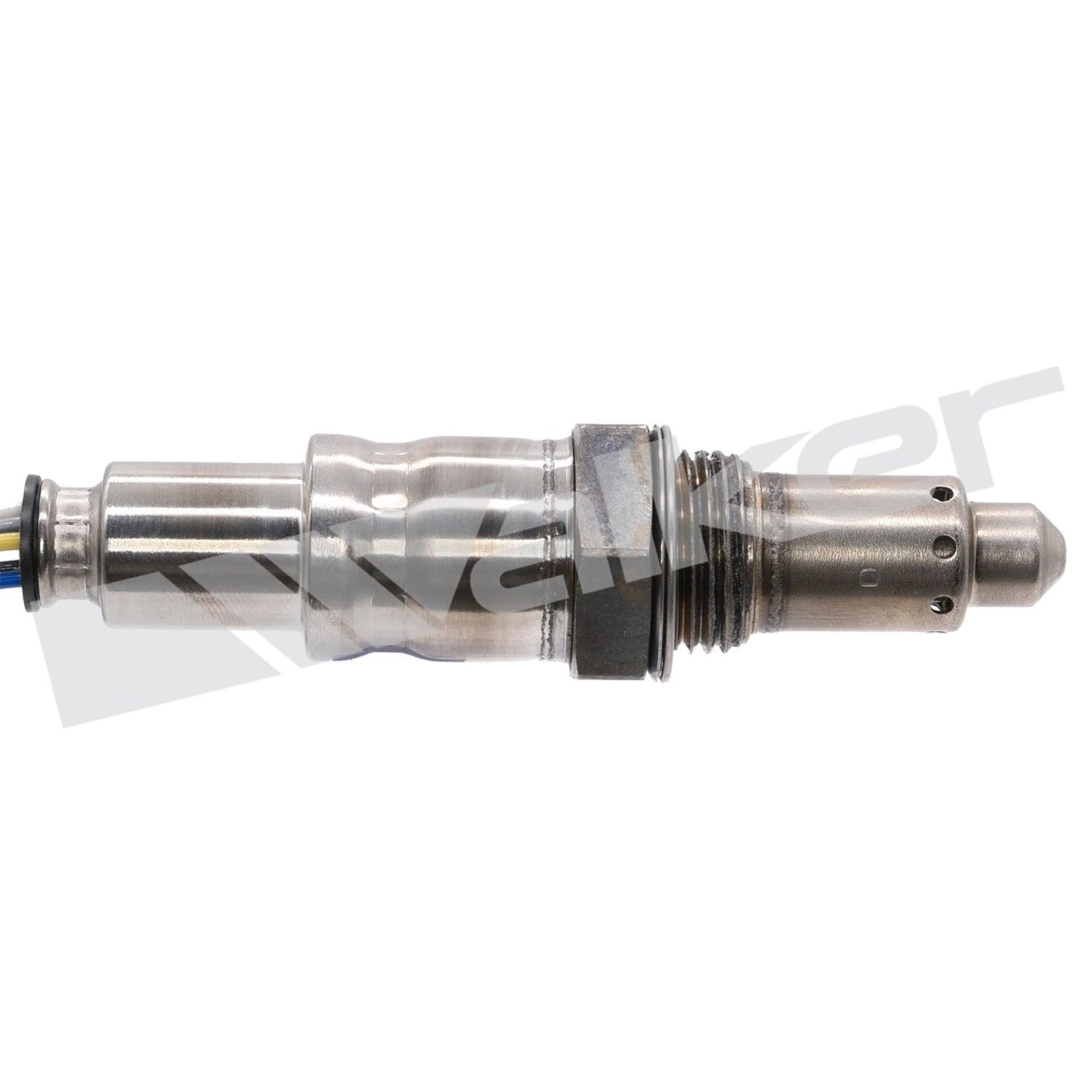 Walker 25025147