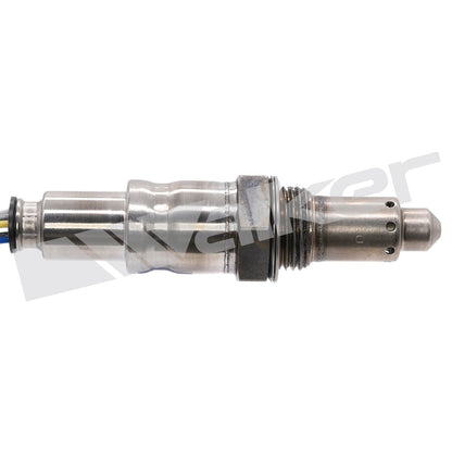 Walker 25025147