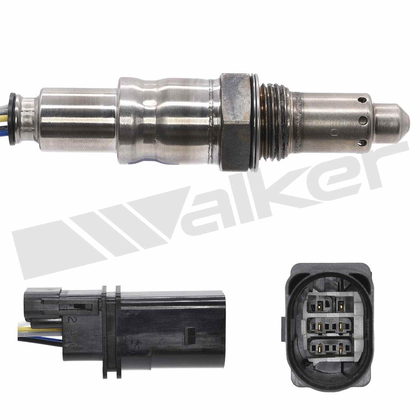 Walker 25025147