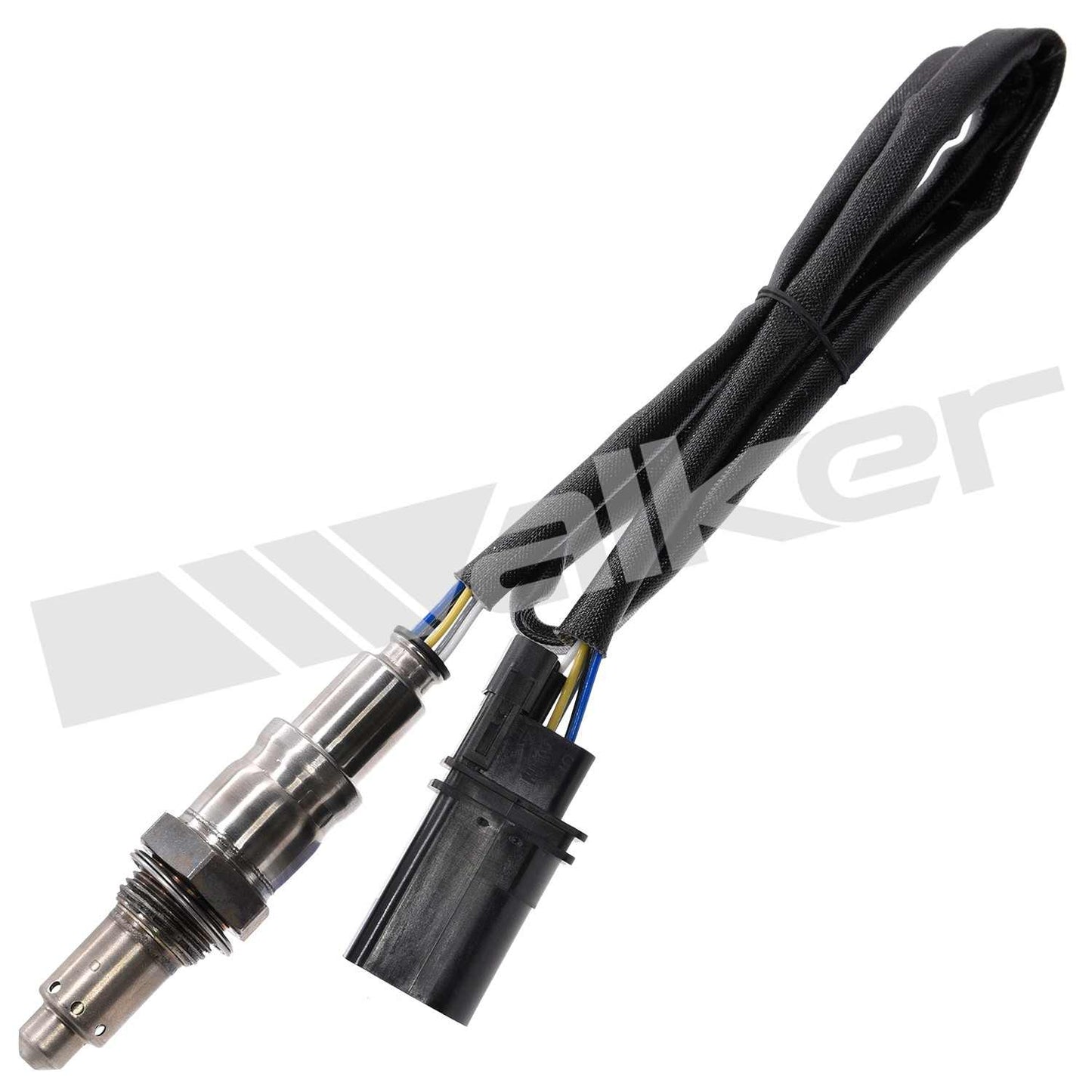 Walker 25025147