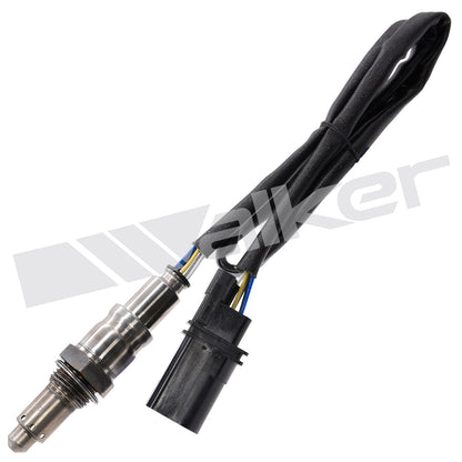 Walker 25025147