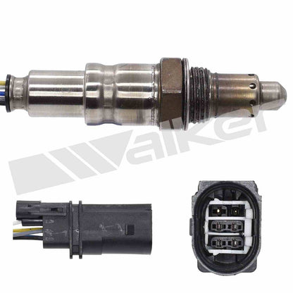 Walker 25025151