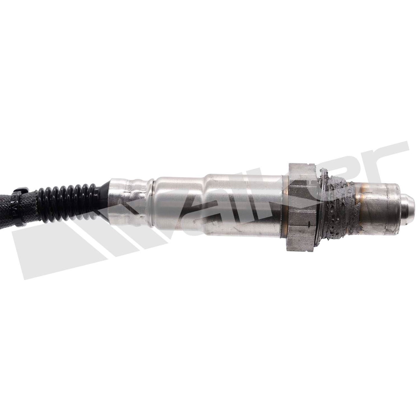Walker 25025153