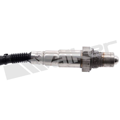 Walker 25025153