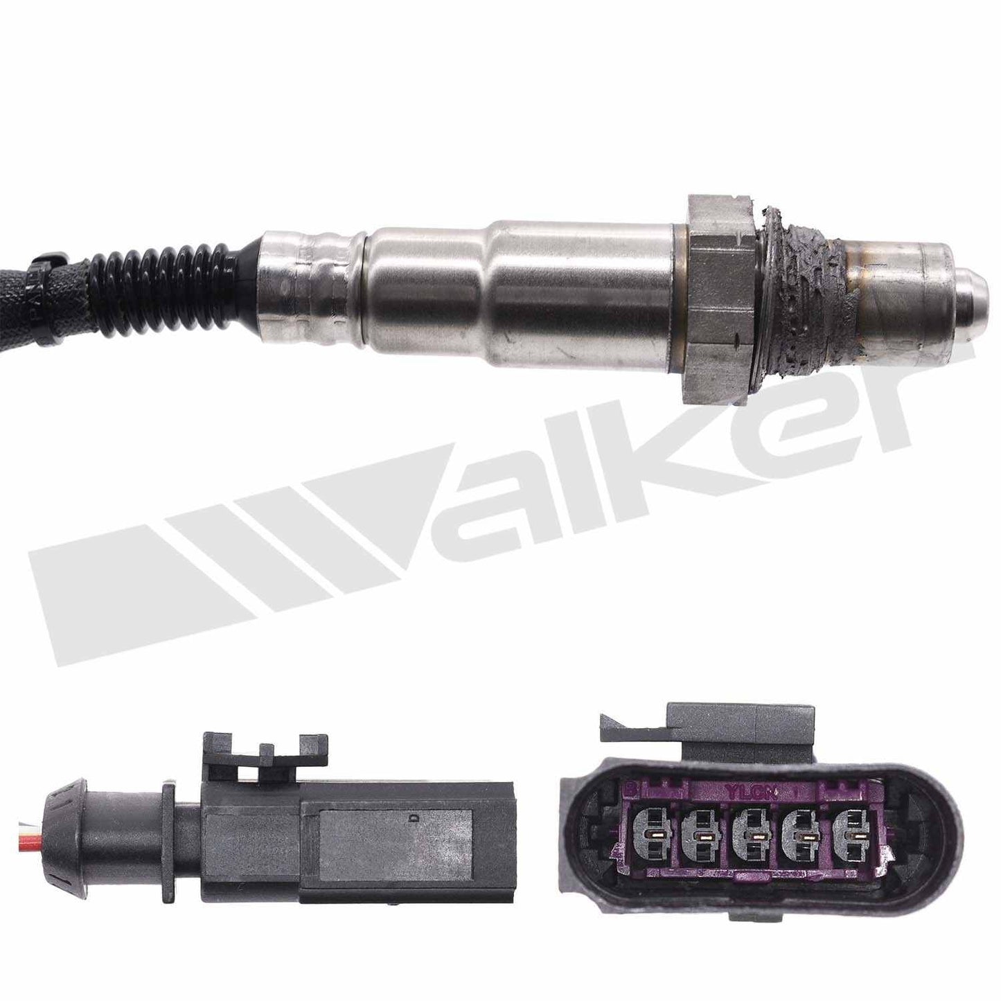 Walker 25025153