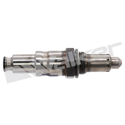Walker 25025156