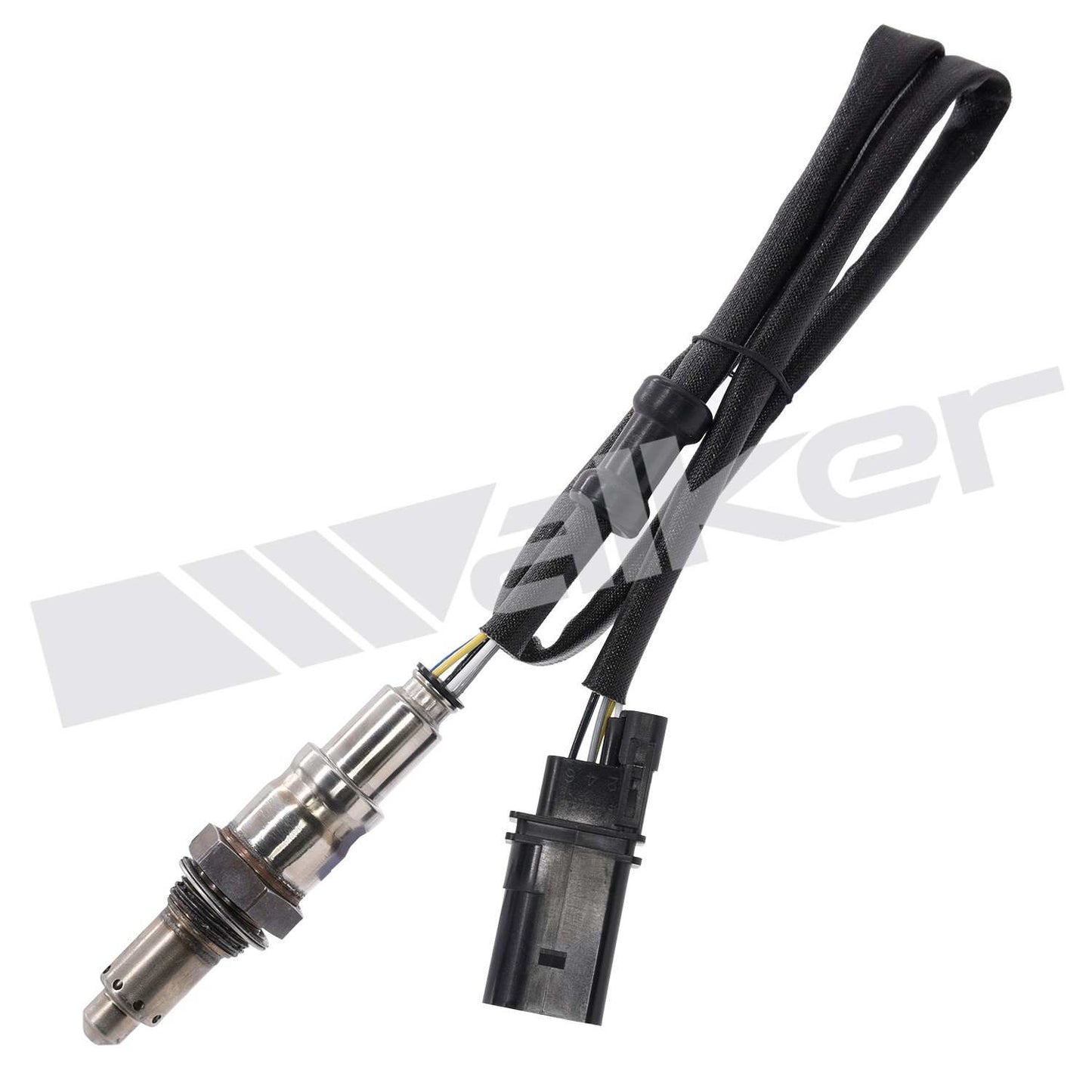 Walker Products 25025156