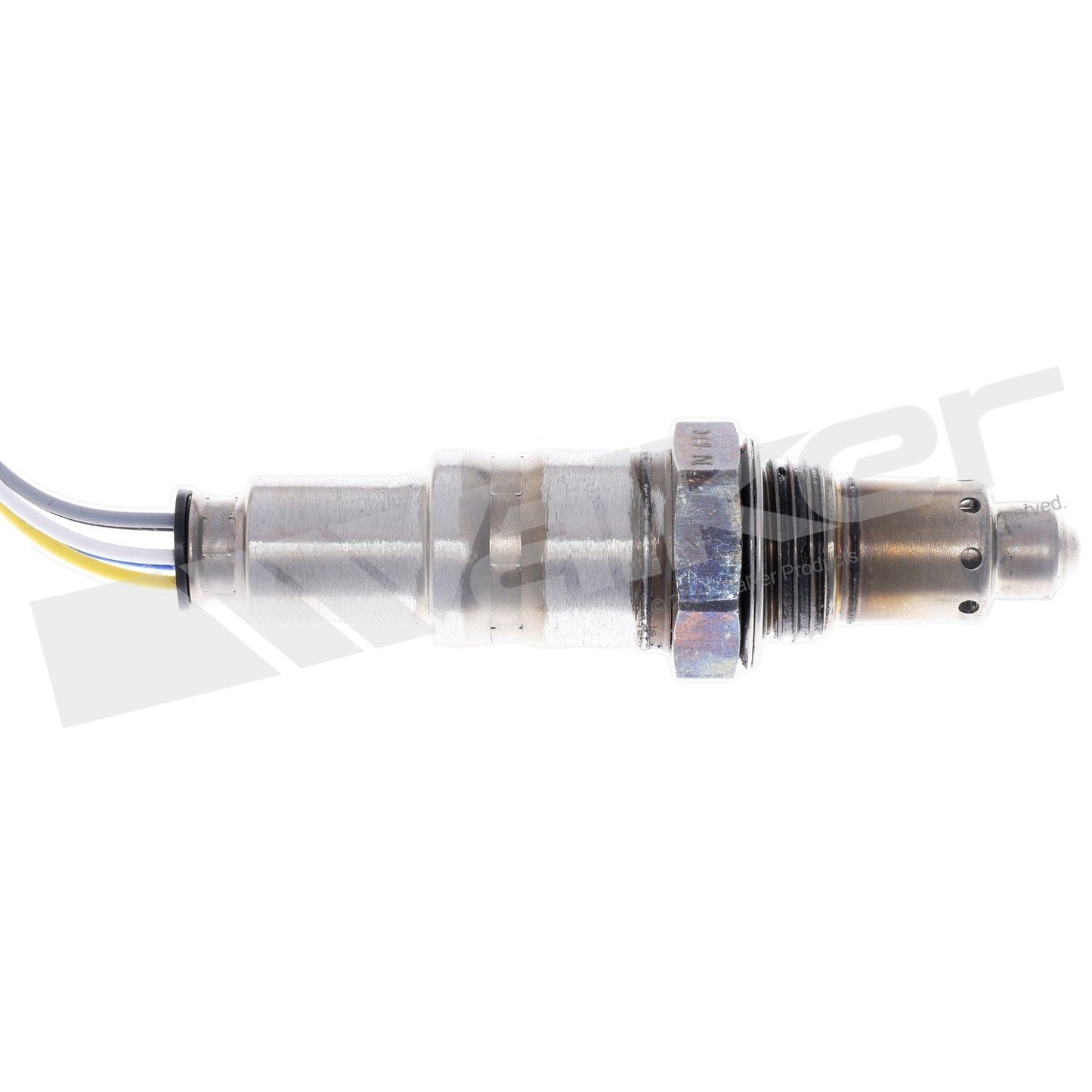Walker 250-25174