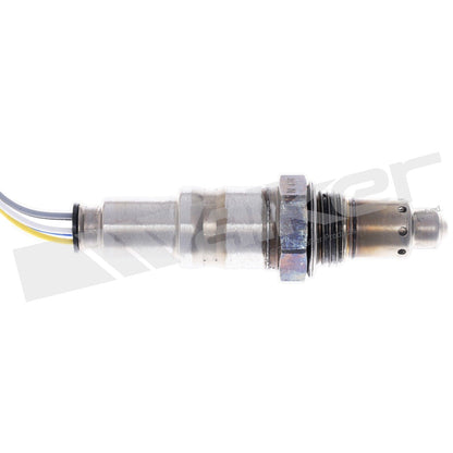 Walker 250-25174