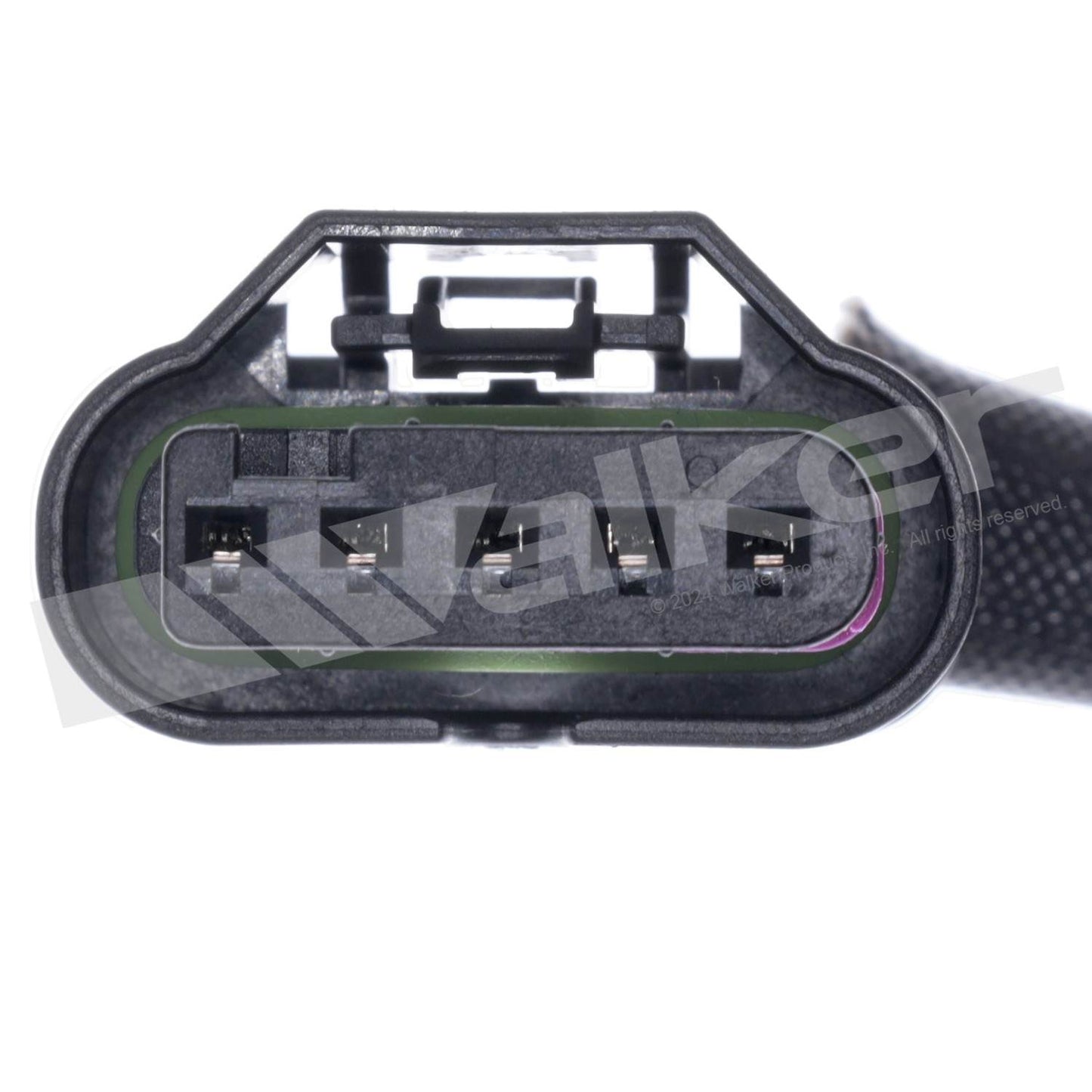 Walker 250-25174