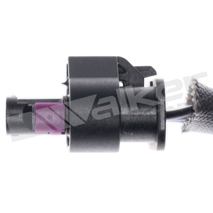 Walker 250-25174