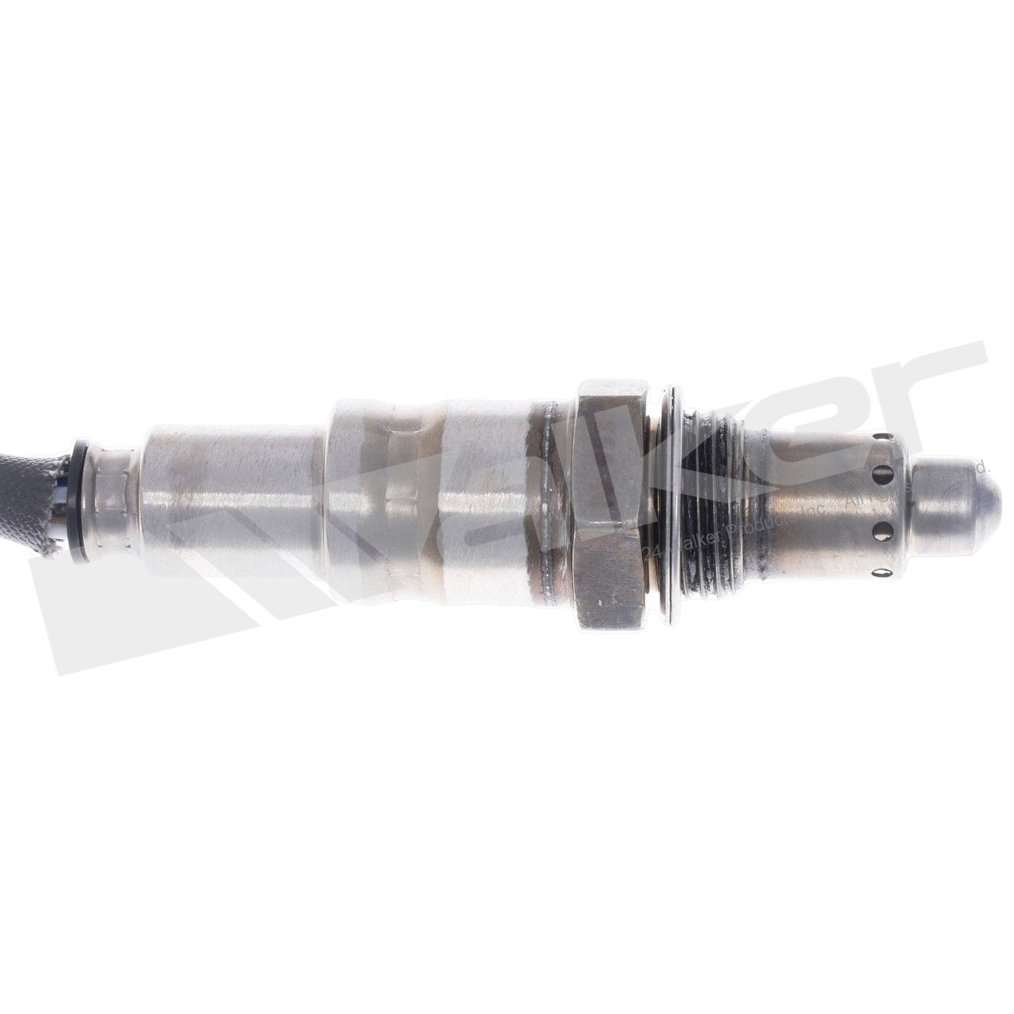 Walker 250-25175