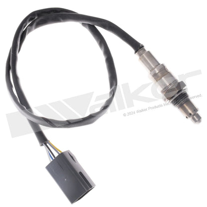 Walker 250-25175